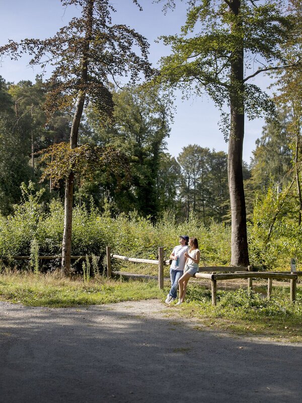 Wandelen in het minder bekende bekende Aalterse deel van Bulskampveld