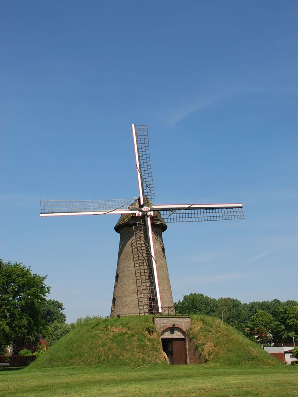 De molen van Wippelgem en de terreinen er rond zijn een ideale plek voor ravottende kinderen