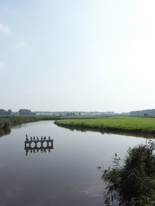 Het beeld 'Boer let op je ganzen' van Chris Ferket in Waterland-Oudeman