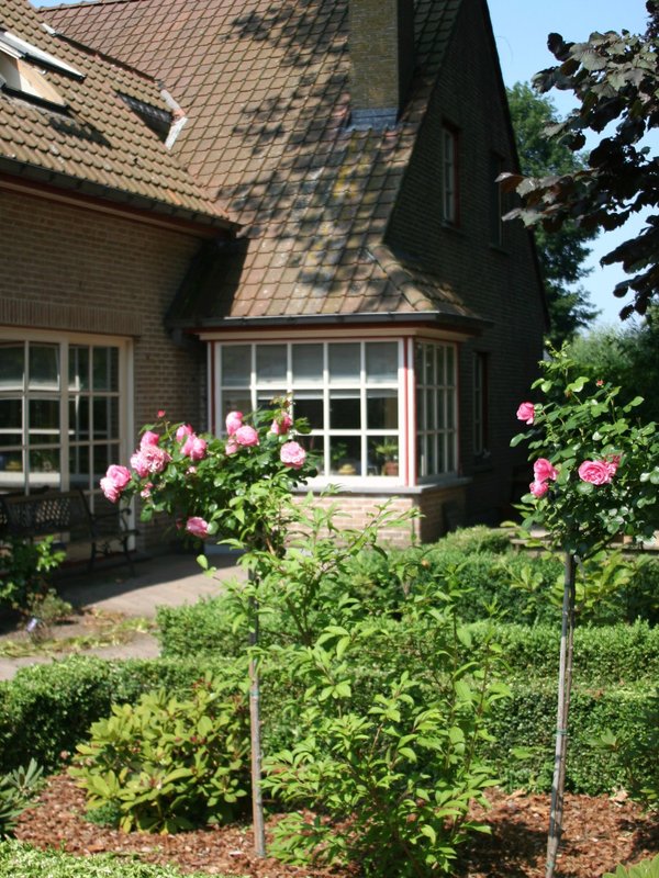 Rozentuin De Bijenkorf