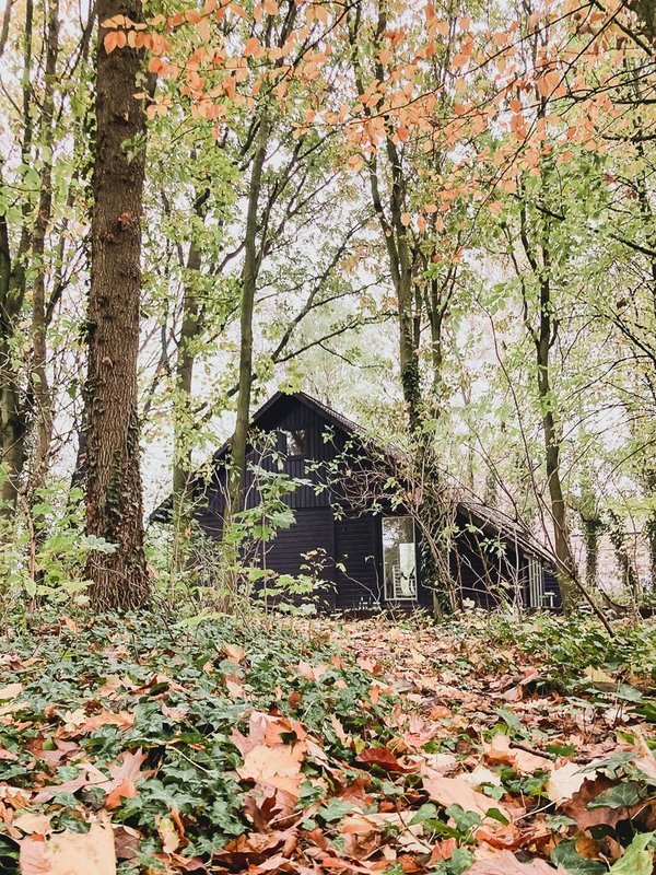 Het vakantiehuis in het bos