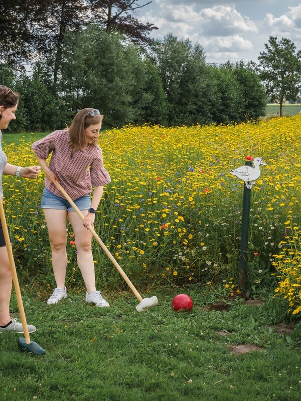 Beelden van activiteiten die vertrekken op de Huysmanhoeve: boerengolf